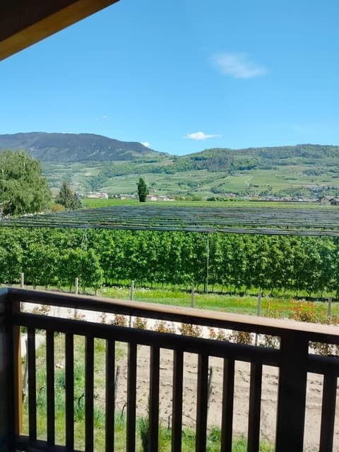 Agritur Lavanda, 