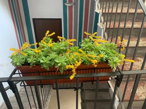 Holiday Studio in Centro Storico Intra, 