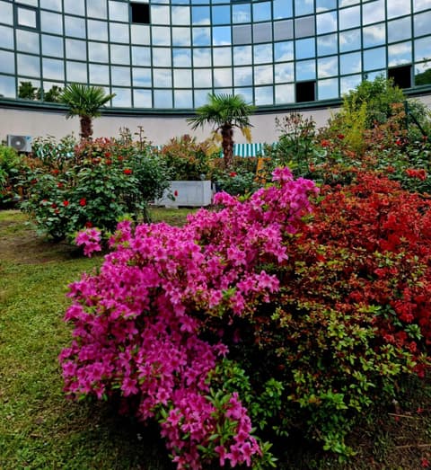 Victoria Royal Garden, 