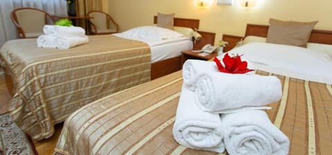 Hotel Fenyõ Conference & Spa, 