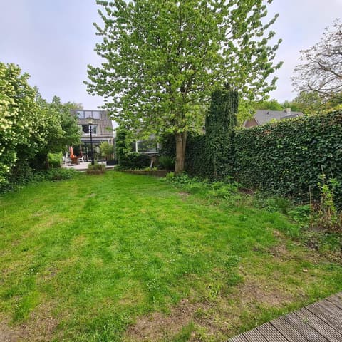 Tiny house Wassenaar, 