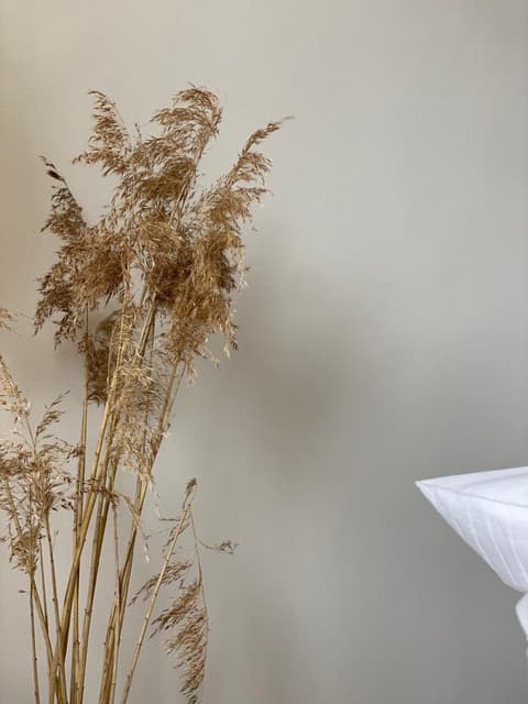 Alte Mühle Maising, 