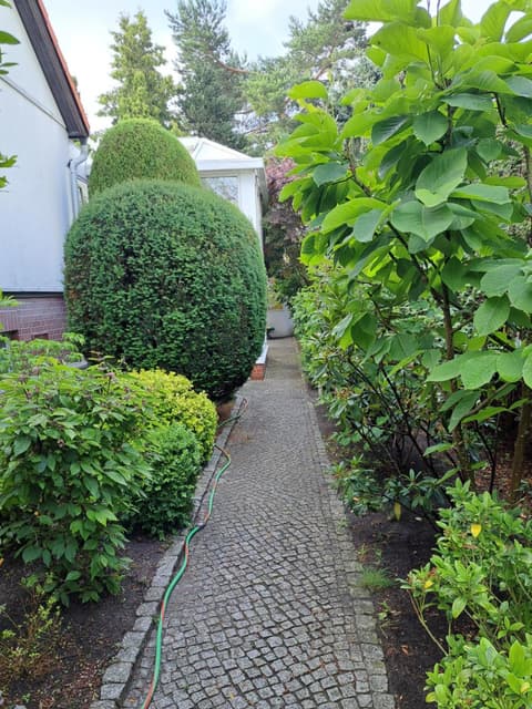 Apartment Kastanienallee Rosenthal, 