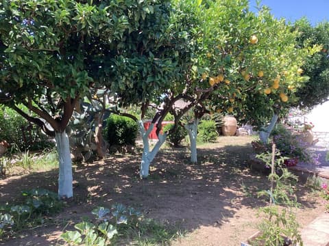 Casetta Minghitto Relaxing rooms in Capri, 