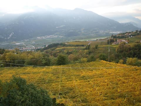 Agriturismo Al Maniero, 
