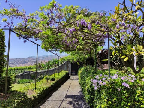 Quinta São Gonçalo, 