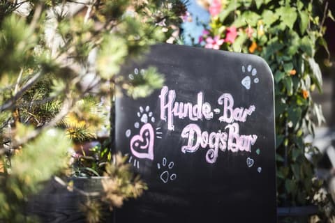 Berghotel Basur - Das Schihotel am Arlberg, 