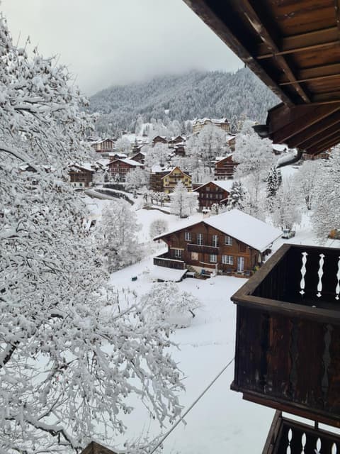 Traditional chalet in Wengen - Top Floor, 