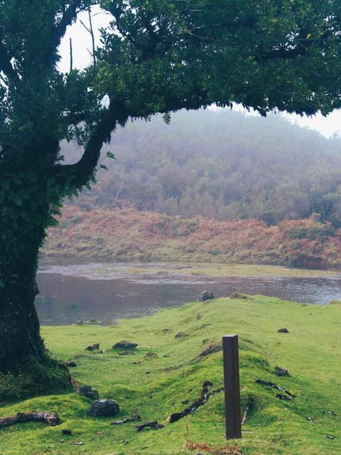 Casas do Calhau Miúdo - Seixal, 
