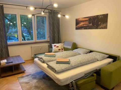 New spacious one-room apartment, 