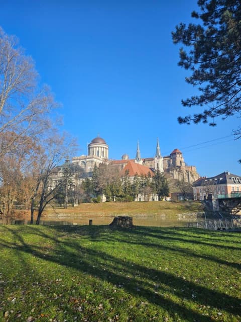 Szent István koronája, 