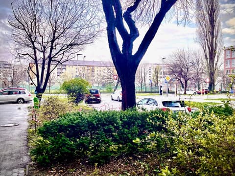 Bratislava City Center, 