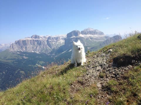 Wellness Hotel Lupo Bianco, 