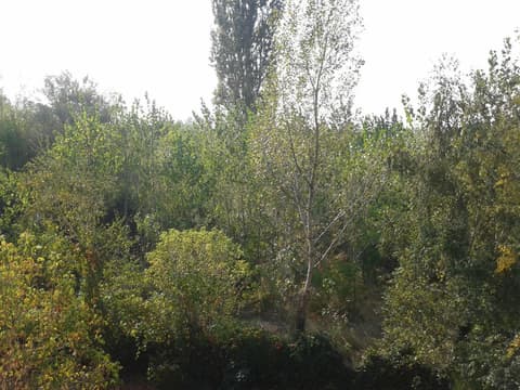 Bed Breakfast Hotel Budapest, 