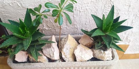 Mary Etna apartments, 