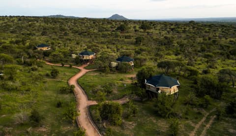 TARANGIRE KURO TREETOP LODGE, 