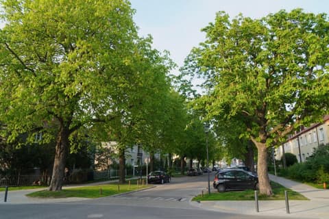 Przytulne Poddasze w Gdańsku, 