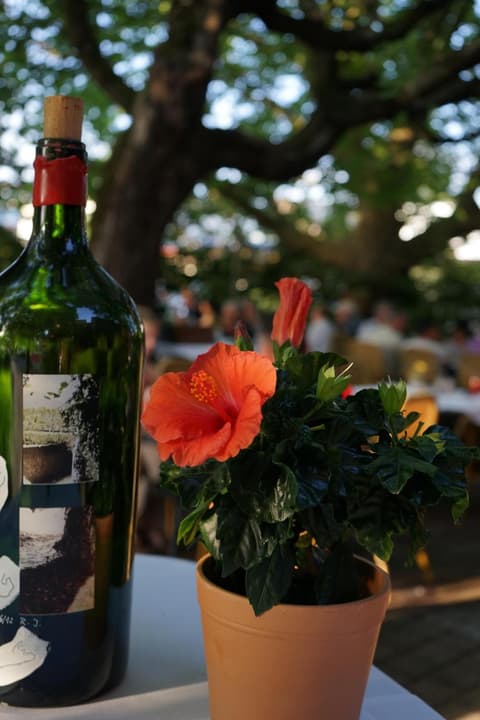 Ott's Hotel Weinwirtschaft & Biergarten Weil am Rhein/Basel, 