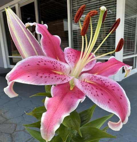 NATION'S INN of Wake County - Raleigh Crabtree, 