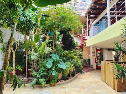 Hotel Barrio Antiguo, 