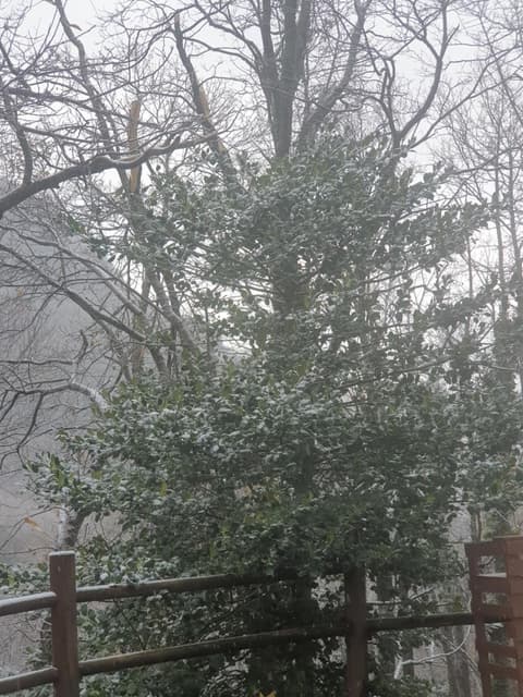 In Montagna Da Emili&Gabriel, 