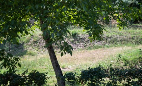 Locazione turistica "Chiantigiana "alle porte del Chianti, 