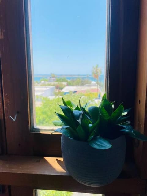 Casa Bahía 2 blocks Malecon Amaizing ocean view, 