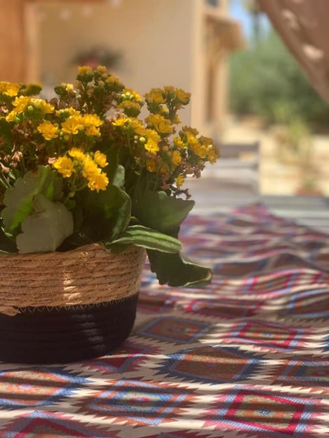 Casa Vacanze Lo Stagnone da Rosita, 