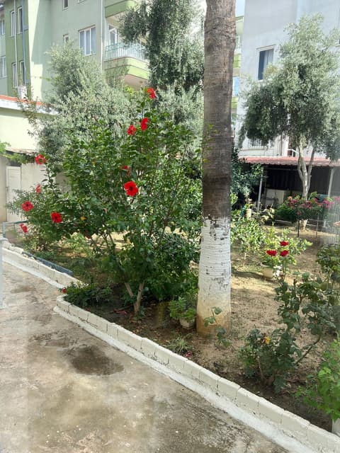 Leos Apartments Apart2, 