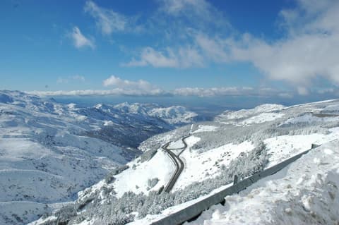 Apartamentos Las Tuyas 3000, 