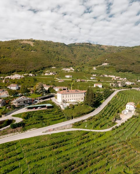 Boutique Hotel Municipio 1815, 