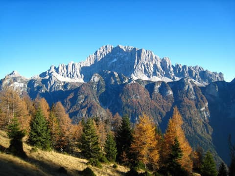 Hotel & Ristorante Baita Dovich, 