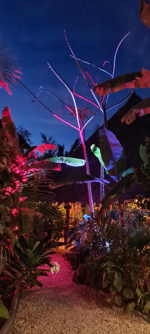 Yasa Boutique Hotel, 