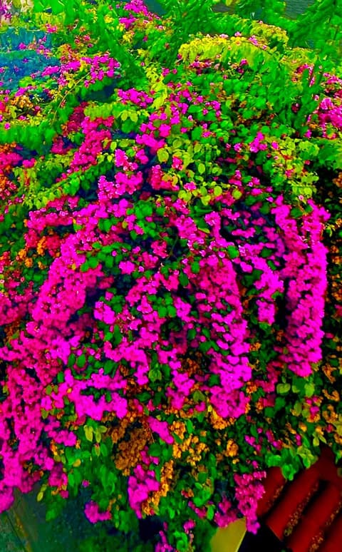 Ayasofya Hotel - Special Class, 