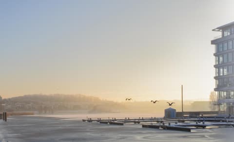 THE GREEN PHOENIX Dortmund Phönixsee, 