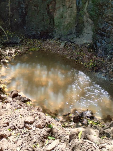 Bangalô dos Araçás - sítio Vô Haack, 
