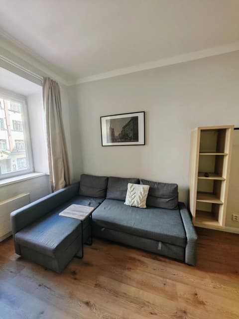 Flat in Zizkov -102-, 