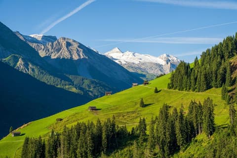 Hotel zum grünen Tor, 