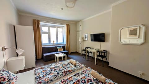 Flat in Zizkov -104-, 