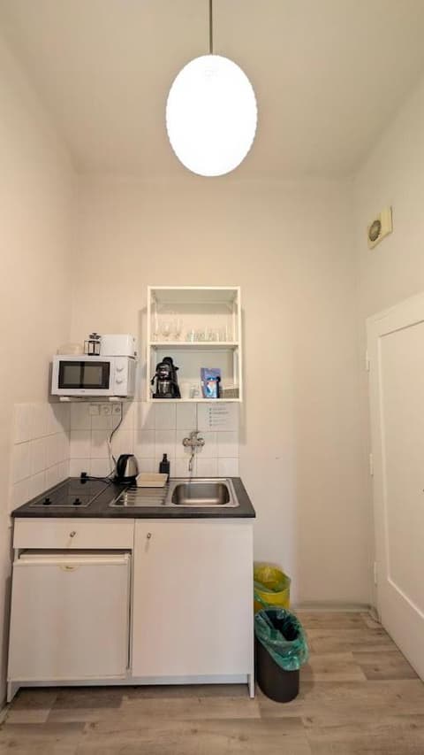 Flat in Zizkov -104-, 