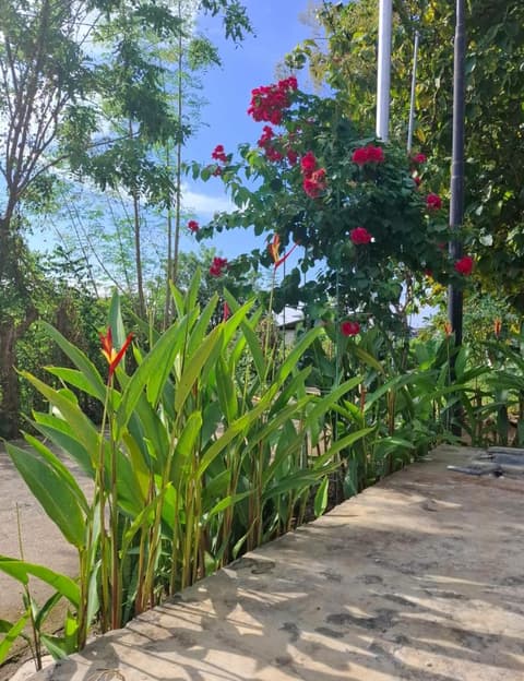 Guest House d Valeri, 