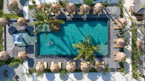 Seven Dreams A Pramana Experience, 