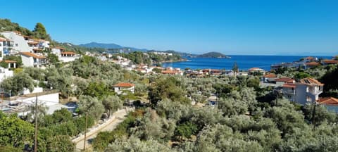 Olive Grove Studios, 