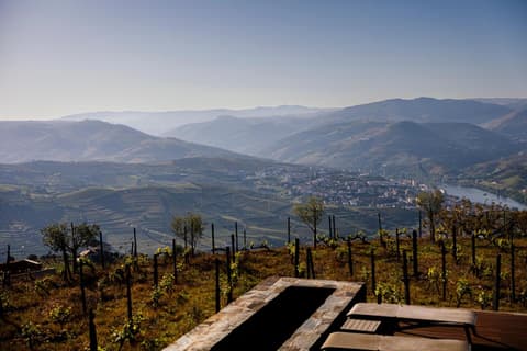 Casa da Quinta de Santa Cruz - Douro Valley - by RowdHouses, 