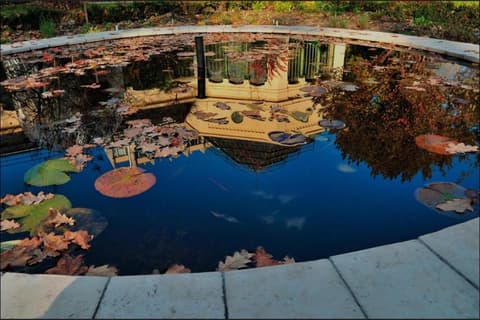 Alexander GuestRooms, 