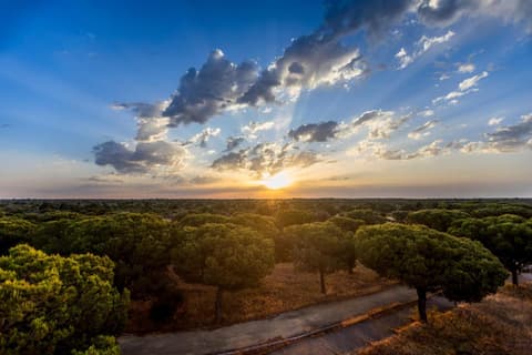Moon Dreams El Cortijo, 