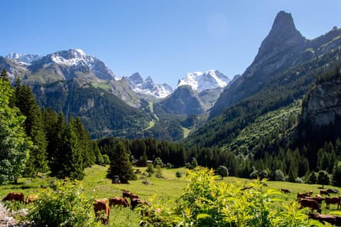 Chalet Hôtel Les Airelles, 