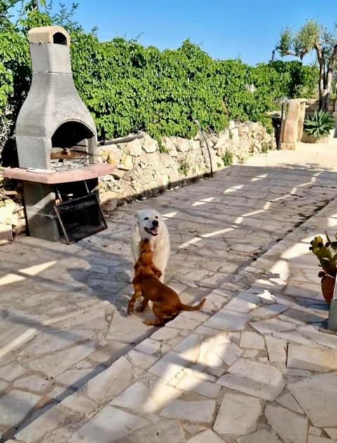 Cozzo Spadaro B&B OnlyRooms, 