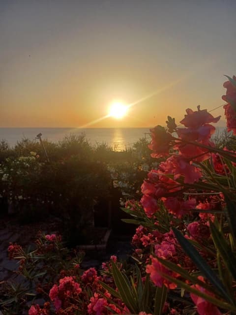 Dimora Acqua del Fico, 