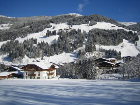 Appartementhaus Elmo Viehhauser KG, 